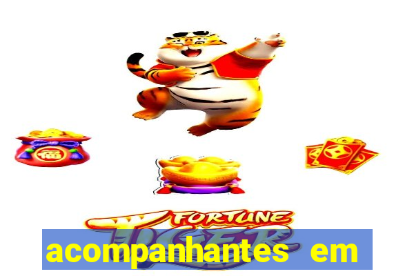 acompanhantes em porto velho